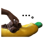 856681198