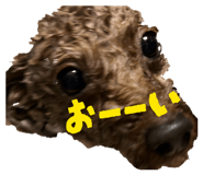 856681199