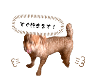 856681213