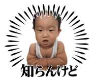 856681354