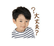 856681667