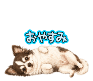 856681947