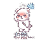 856682244