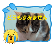 856682348