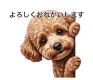 856682478