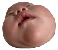 856683443