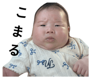 856683445