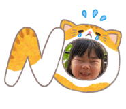 856683788