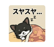 856684395