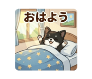 856684455