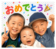 856684624