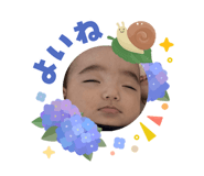 856685026