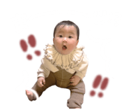 856685419