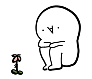 856685622