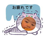 856685708