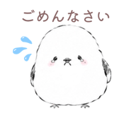 856686092
