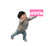 856686553