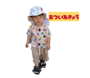856686555