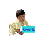 856686558