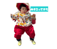 856686559