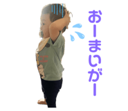 856686934