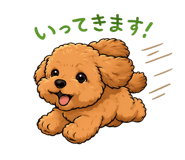 856687242