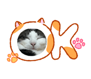 856687297
