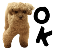 856687573