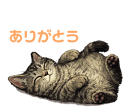 856687804