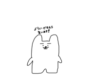 856688257