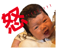 856688308