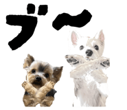 856688469