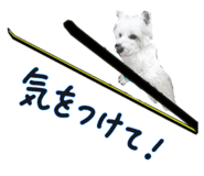 856688472