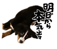 856689061