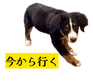 856689062