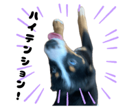856689063