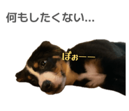 856689066