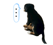 856689069