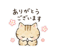 856689338