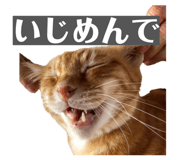 856689468