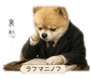 856689902