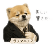 856689904