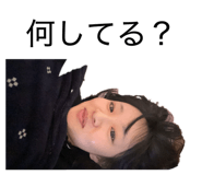 856690401