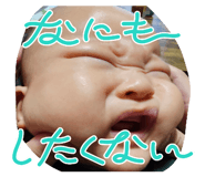 856690443