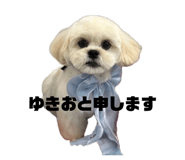 856690450