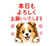 856691234