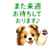 856691242