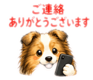 856691247
