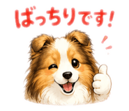 856691256