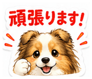 856691261